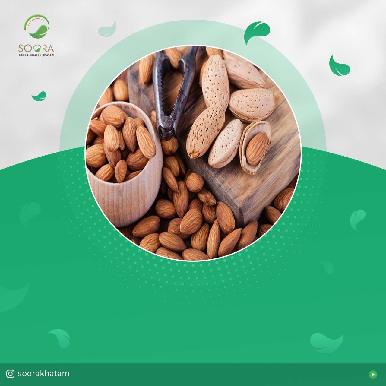 بادام درختی